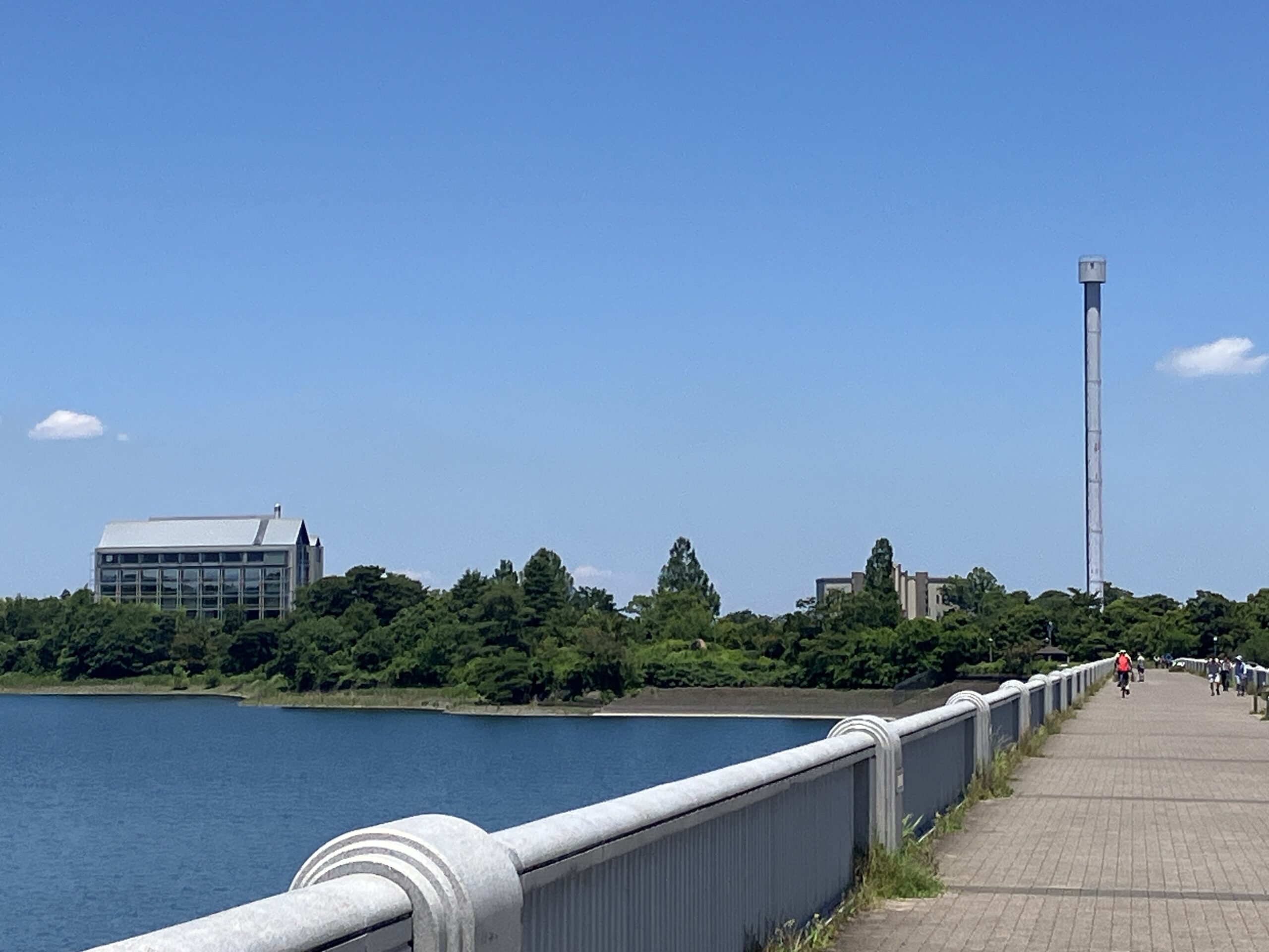 多摩湖
